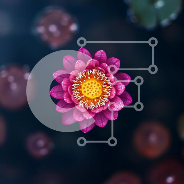 Intra Συλλεκτικό Ξύλινο Παζλ Plywood  4mm - Ζωντανό ροζ νούφαρο στη σκοτεινή λίμνη Σε Ξύλινο Κουτί - Διαστάσεις: 10x10 cm – 25 κομμάτια