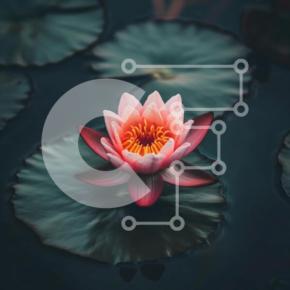 Intra Συλλεκτικό Ξύλινο Παζλ Plywood  4mm - Νούφαρο σε άνθιση Σε Ξύλινο Κουτί - Διαστάσεις: 10x10 cm – 25 κομμάτια