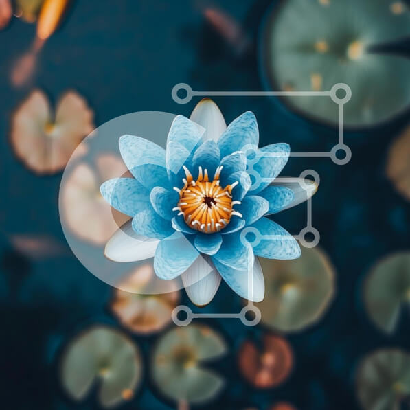 Intra Συλλεκτικό Ξύλινο Παζλ Plywood  4mm - Μπλε νούφαρο σε μια γαλήνια λίμνη Σε Ξύλινο Κουτί - Διαστάσεις: 10x10 cm – 25 κομμάτια