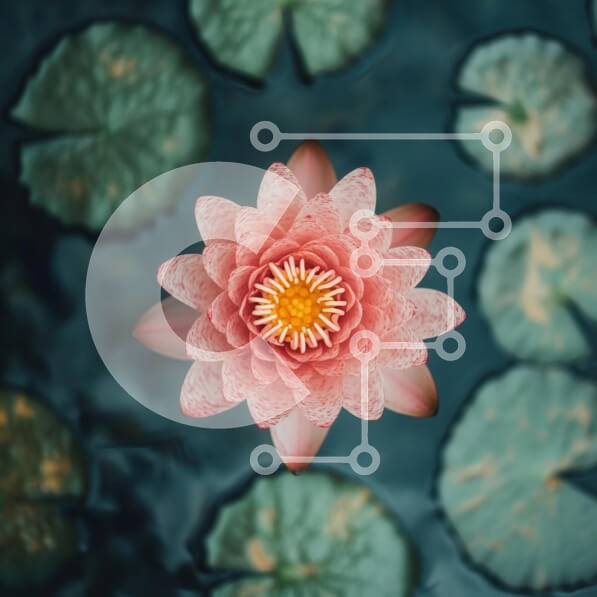 Intra Συλλεκτικό Ξύλινο Παζλ Plywood  4mm - Λουλούδι Lotus που ανθίζει σε μια λίμνη Σε Ξύλινο Κουτί - Διαστάσεις: 10x10 cm – 25 κομμάτια