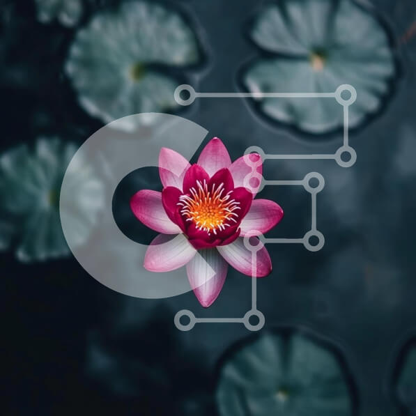 Intra Συλλεκτικό Ξύλινο Παζλ Plywood  4mm - Ανθισμένο λουλούδι λωτού στο σκοτεινό νερό Σε Ξύλινο Κουτί - Διαστάσεις: 10x10 cm – 25 κομμάτια