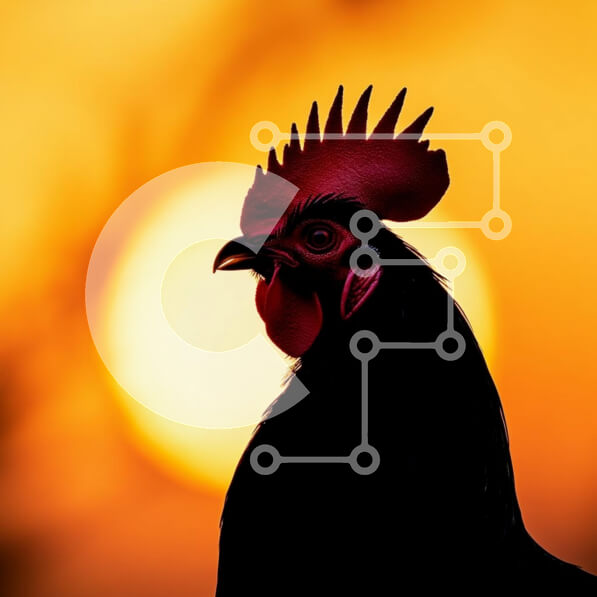 Intra Συλλεκτικό Ξύλινο Παζλ Plywood  4mm - Σιλουέτα κόκορα στο ηλιοβασίλεμα Σε Ξύλινο Κουτί - Διαστάσεις: 10x10 cm – 25 κομμάτια