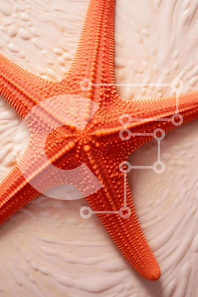 Σετ των 2 Intra Συλλεκτικό Ξύλινο Παζλ Plywood  4mm - Δονούμενος πορτοκαλί αστερίας σε κρεμ φόντο Σε Ξύλινο Κουτί - Διαστάσεις: 10x10 cm – 25 κομμάτια