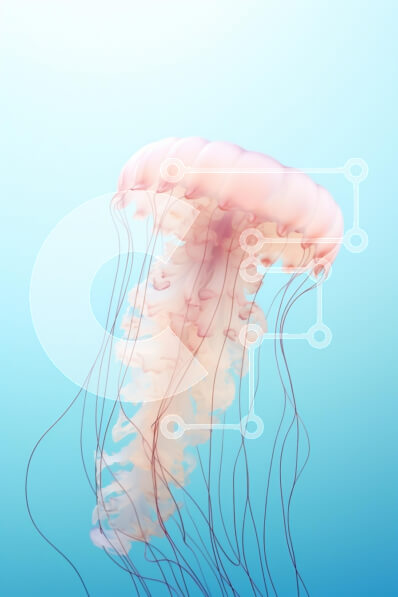 Σετ των 2 Intra Συλλεκτικό Ξύλινο Παζλ Plywood  4mm - Ημιδιάφανη μέδουσα στα γαλάζια νερά Σε Ξύλινο Κουτί - Διαστάσεις: 10x10 cm – 25 κομμάτια