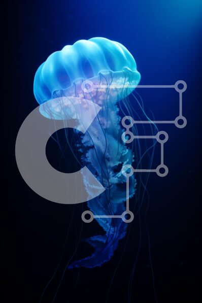 Σετ των 2 Intra Συλλεκτικό Ξύλινο Παζλ Plywood  4mm - Λαμπερή μέδουσα στα βαθιά μπλε νερά Σε Ξύλινο Κουτί - Διαστάσεις: 10x10 cm – 25 κομμάτια