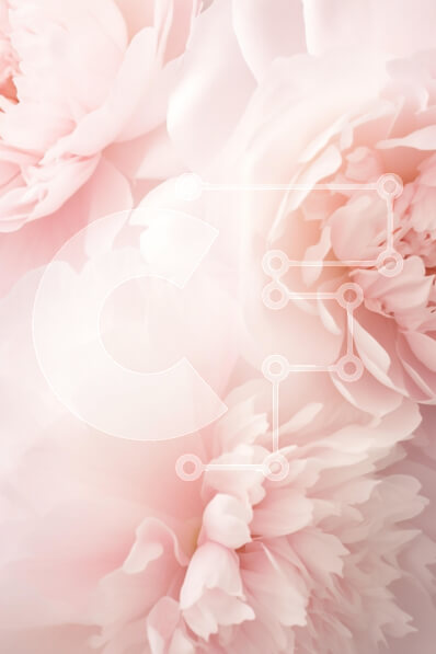 Intra Συλλεκτικό Ξύλινο Παζλ Plywood  4mm - Κομψές παιώνιες σε απαλό ροζ Σε Ξύλινο Κουτί - Διαστάσεις Puzzle: 10x10 cm – 25 κομμάτια