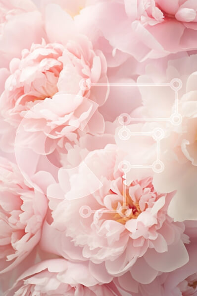 Intra Συλλεκτικό Ξύλινο Παζλ Plywood  4mm - Κοντινό πλάνο με απαλές ροζ παιώνιες Σε Ξύλινο Κουτί - Διαστάσεις Puzzle: 10x10 cm – 25 κομμάτια