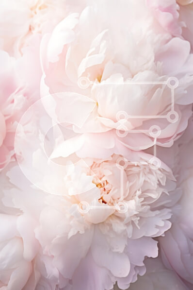 Intra Συλλεκτικό Ξύλινο Παζλ Plywood  4mm - Κοντινό πλάνο ροζ παιώνιες Σε Ξύλινο Κουτί - Διαστάσεις Puzzle: 10x10 cm – 25 κομμάτια