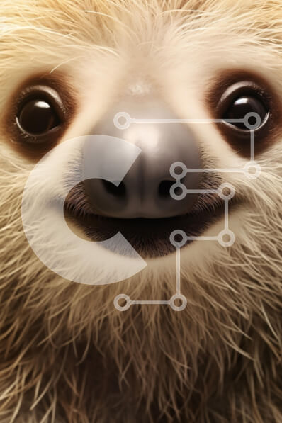 Σετ των 2 Intra Συλλεκτικό Ξύλινο Παζλ Plywood  4mm - Χαμογελώντας νωθρό πορτρέτο Σε Ξύλινο Κουτί - Διαστάσεις: 10x10 cm – 25 κομμάτια