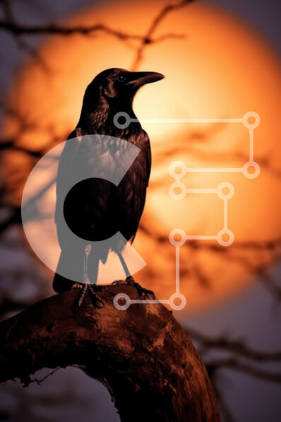 Σετ των 2 Intra Συλλεκτικό Ξύλινο Παζλ Plywood  4mm - Σιλουέτα ενός κορακιού ενάντια σε ένα ηλιοβασίλεμα Σε Ξύλινο Κουτί - Διαστάσεις: 10x10 cm – 25 κομμάτια