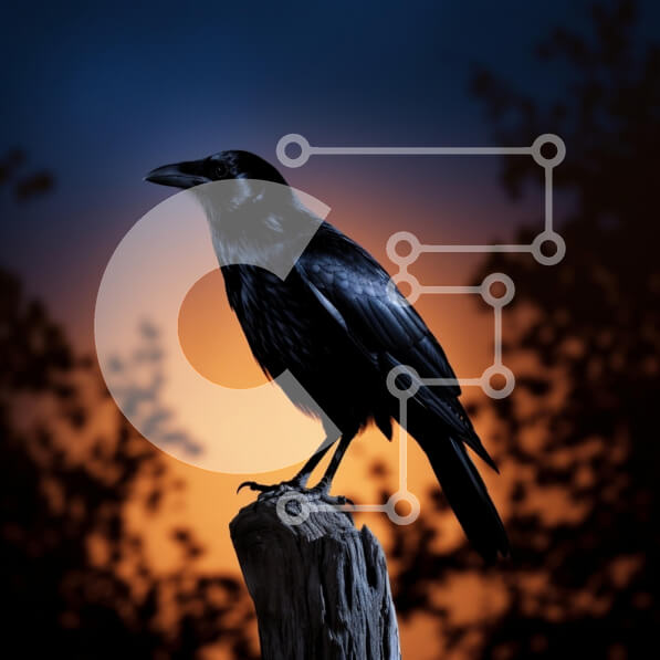 Intra Συλλεκτικό Ξύλινο Παζλ Plywood  4mm - Κοράκι σκαρφαλωμένο στο ηλιοβασίλεμα Σε Ξύλινο Κουτί - Διαστάσεις: 10x10 cm – 25 κομμάτια