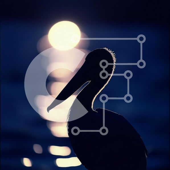 Intra Συλλεκτικό Ξύλινο Παζλ Plywood  4mm - Σιλουέτα ενός πουλιού ενάντια στο ηλιοβασίλεμα Σε Ξύλινο Κουτί - Διαστάσεις: 10x10 cm – 25 κομμάτια