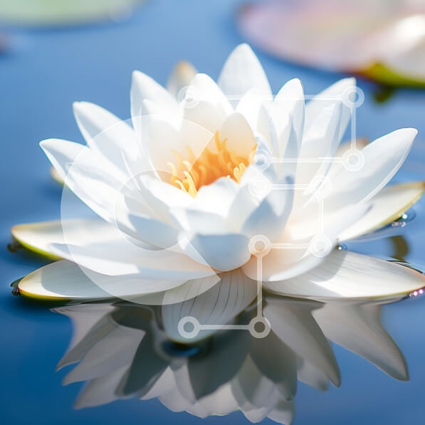 Intra Συλλεκτικό Ξύλινο Παζλ Plywood  4mm - Λευκό νούφαρο σε ήρεμο νερό Σε Ξύλινο Κουτί - Διαστάσεις: 10x10 cm – 25 κομμάτια