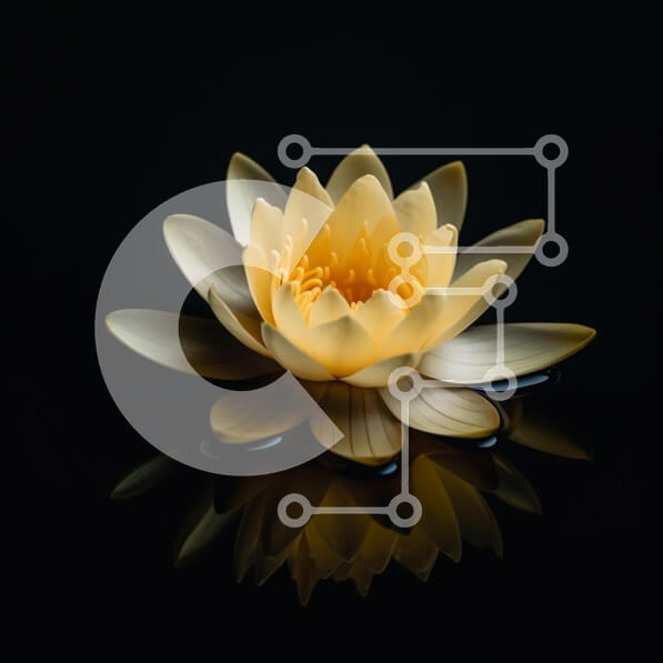 Σετ των 2 Intra Συλλεκτικό Ξύλινο Παζλ Plywood  4mm - Κίτρινο νούφαρο σε μια σκοτεινή επιφάνεια Σε Ξύλινο Κουτί - Διαστάσεις: 10x10 cm – 25 κομμάτια