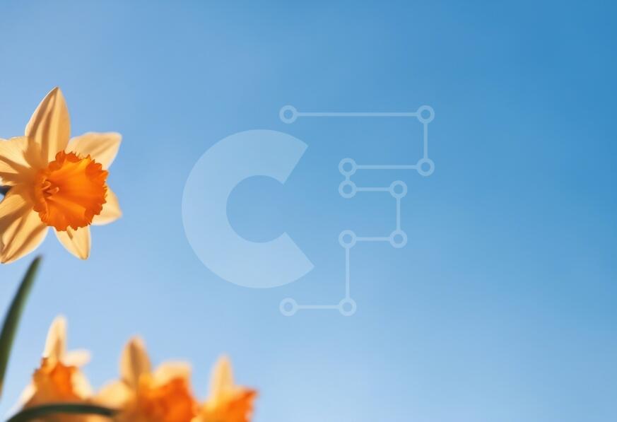 Intra Συλλεκτικό Ξύλινο Παζλ Plywood  4mm - Κοντινό πλάνο κίτρινου λουλουδιού ασφόδελου με μπλε ουρανό Σε Ξύλινο Κουτί - Διαστάσεις: 10x10 cm – 25 κομμάτια