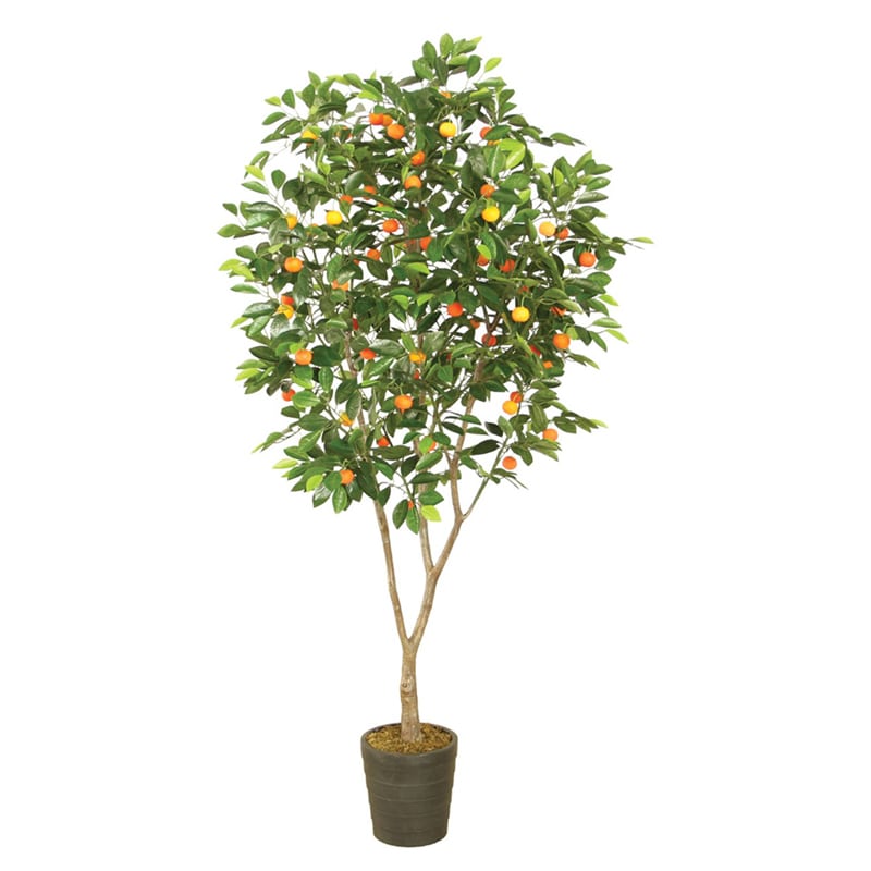 Artekko Ikau Τεχνητή Νερατζιά 200cm Artekko 6-0001