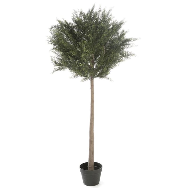 Artekko Phiomip Τεχνητό Κυπαρίσσι Μπονσάι 140cm Artekko 6-0153