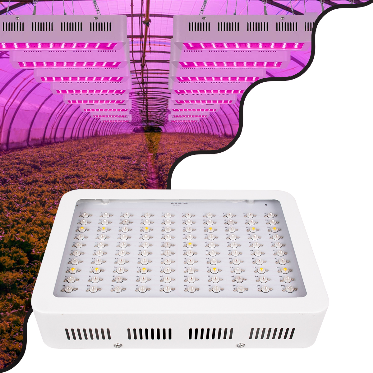 85950 GloboStar® 85950 Grow Light Full Spectrum LED Φωτιστικό Ανάπτυξης Φυτών Θερμοκηπίου SMD 2835 75W 160° AC230V IP54 Εσωτερικού Χώρου για Κάλυψη Επιφάνειας 1.5m x 1.5m Πλήρους Φάσματος Φωτισμού 85950 GloboStar® 85950 Grow Light Full Spectrum LED Φωτιστικό Ανάπτυξης Φυτών Θερμοκηπίου SMD 2835 75W 160° AC230V IP54 Εσωτερικού Χώρου για Κάλυψη Επιφάνειας 1.5m x 1.5m Πλήρους Φάσματος Φωτισμού