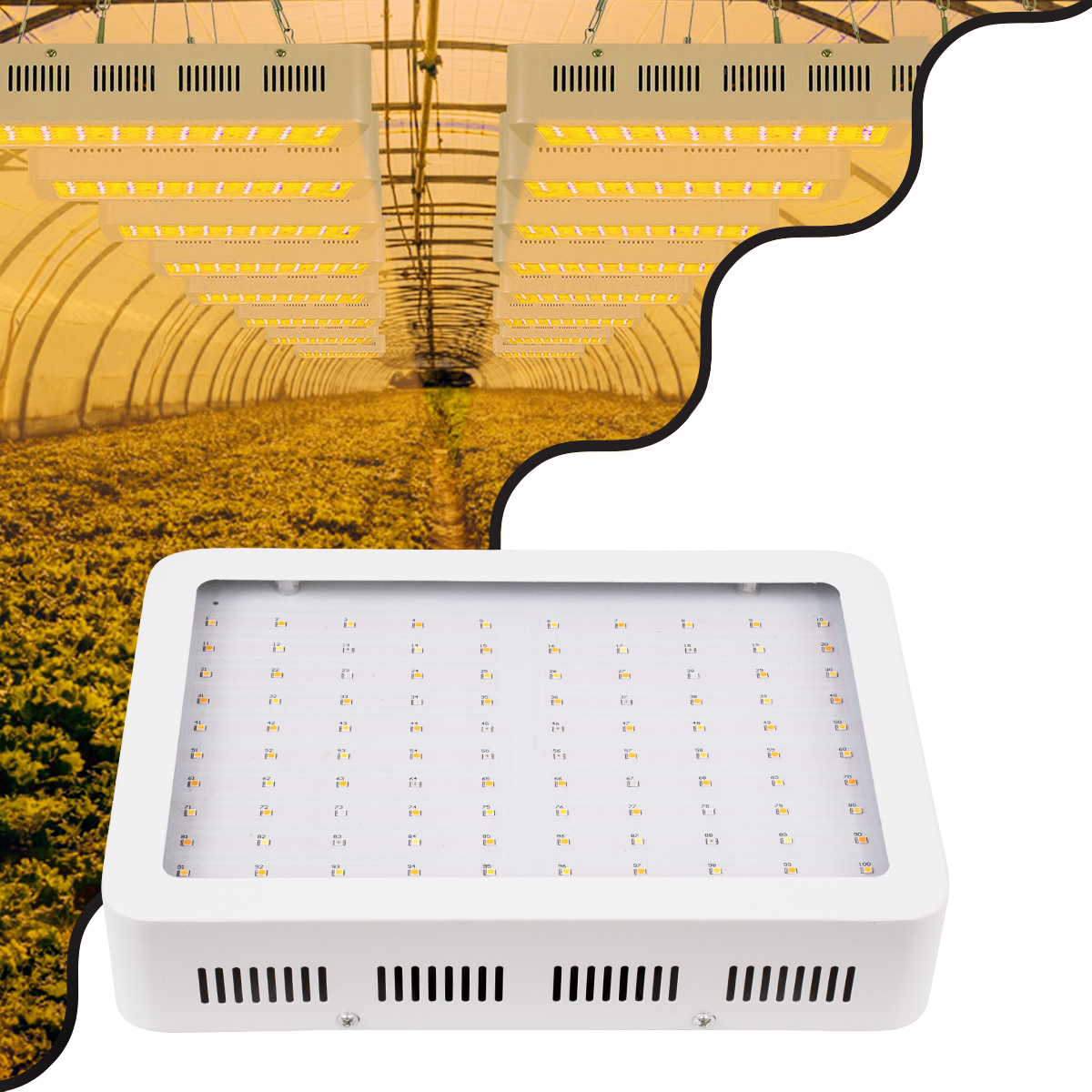 85951 GloboStar® 85951 Grow Light Hydro Full Spectrum LED Φωτιστικό Ανάπτυξης Φυτών Υδροπονικού Θερμοκηπίου SMD 2835 70W 160° AC230V IP54 Εσωτερικού Χώρου για Κάλυψη Επιφάνειας 1.5m x 1.5m Πλήρους Φάσματος Φωτισμού 85951 GloboStar® 85951 Grow Light Hydro Full Spectrum LED Φωτιστικό Ανάπτυξης Φυτών Υδροπονικού Θερμοκηπίου SMD 2835 70W 160° AC230V IP54 Εσωτερικού Χώρου για Κάλυψη Επιφάνειας 1.5m x 1.5m Πλήρους Φάσματος Φωτισμού