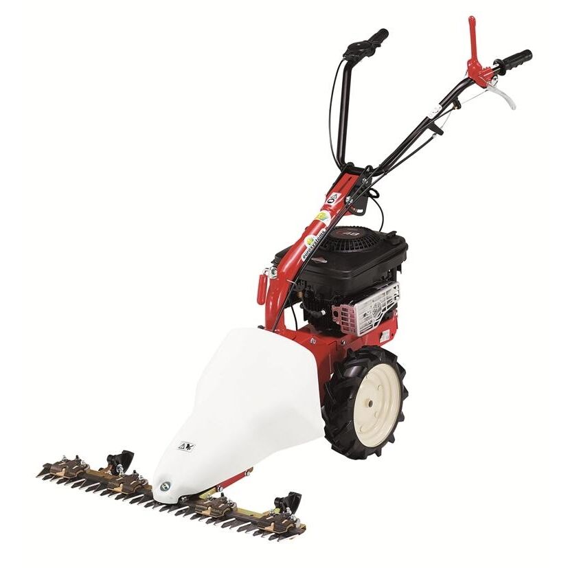 EUROSYSTEMS Χορτοκοπτικό EUROSYSTEMS BILAMA M210 Briggs n’ Stratton katsar-965164600 EUROSYSTEMS Χορτοκοπτικό EUROSYSTEMS BILAMA M210 Briggs n’ Stratton katsar-965164600