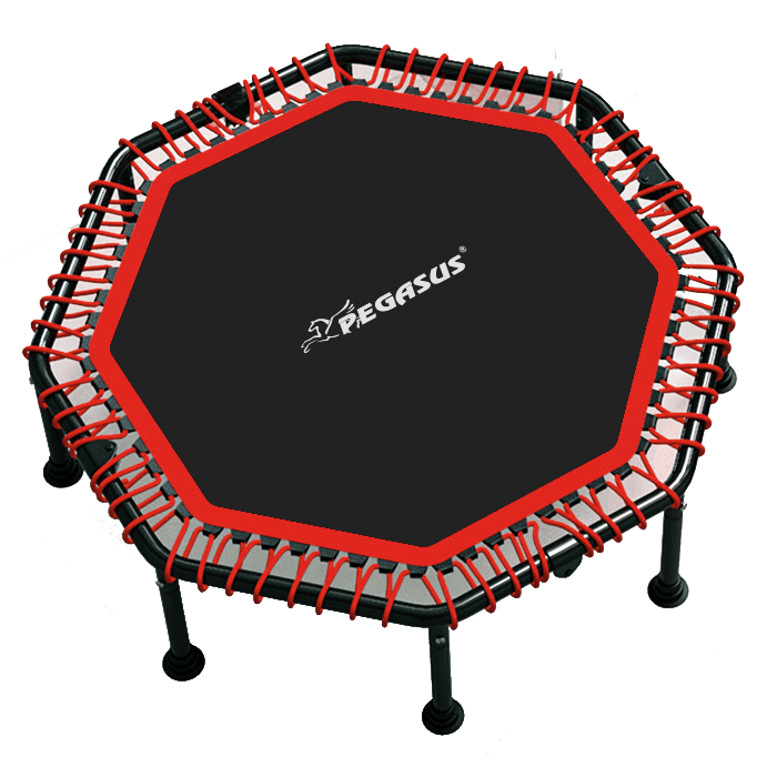 Pegasus® Pegasus® Οκτάγωνο τραμπολίνο 48″ (122cm) Β 4503 Pegasus® Pegasus® Οκτάγωνο τραμπολίνο 48″ (122cm) Β 4503