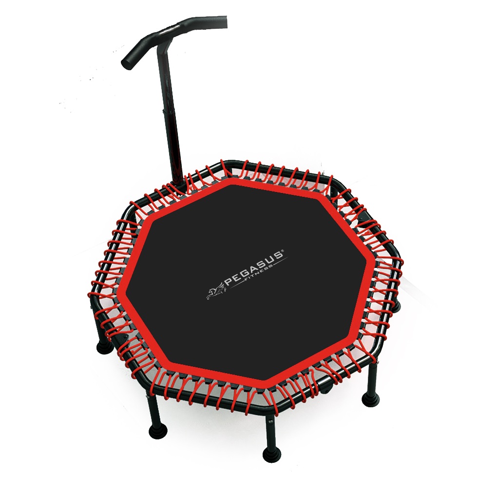 Pegasus® Pegasus® Οκτάγωνο τραμπολίνο με Λαβή 48" (122cm) Β 4503-A