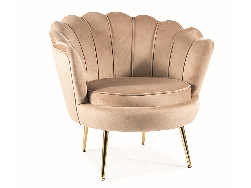 FOTEL CAMELLIA 1 VELVET BEŻOWY BLUVEL 28/ZŁOTY DIOMMI-80-3245