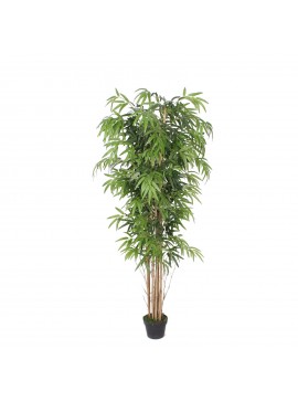 Supergreens Τεχνητό Δέντρο Μπαμπού Lucky 180 εκ.Χρώμα Πράσινο Mήκος  Πλάτος 70 Υψος 180 SUPER-0430-6