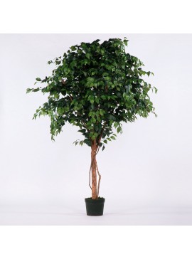 Supergreens Τεχνητό Δέντρο Φίκος 230 εκ.Χρώμα Πράσινο Mήκος  Πλάτος 160 Υψος 230 SUPER-5140-6