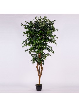 Supergreens Τεχνητό Δέντρο Φίκος 195 εκ.Χρώμα Πράσινο Mήκος  Πλάτος  Υψος 195 SUPER-0240-6