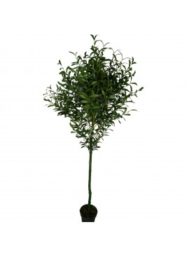Supergreens Τεχνητό Δέντρο Ελιά 183 εκ.Χρώμα Πράσινο Mήκος  Πλάτος 80 Υψος 183 SUPER-6240-6