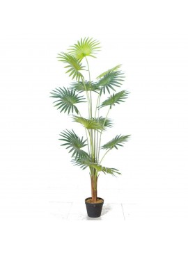 Supergreens Τεχνητό Δέντρο Πιτσάρδια 150 εκ.Χρώμα Πράσινο Mήκος 60 Πλάτος 60 Υψος 180 SUPER-5350-6