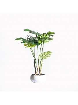 Supergreens Τεχνητό Φυτό Μονστέρα 65 εκ.Χρώμα Πράσινο Mήκος 40 Πλάτος 40 Υψος 65 SUPER-8550-6