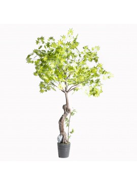 Supergreens Τεχνητός Δέντρο Σφένδαμος 230 εκ.Χρώμα Πράσινο Mήκος  Πλάτος 175 Υψος 230 SUPER-6650-6