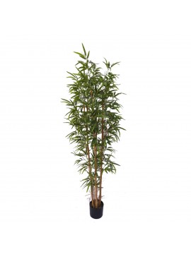 Supergreens Τεχνητό Δέντρο Μπαμπού 180 εκ.Χρώμα Πράσινο Mήκος 65 Πλάτος 65 Υψος 180 SUPER-6560-6