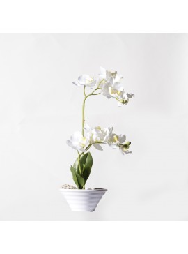 Supergreens Τεχνητό Φυτό Ορχιδέα Phalaenopsis Real Touch Λευκή με Κασπώ 35 εκ.Χρώμα Λευκό Mήκος 21 Πλάτος 21 Υψος 35 SUPER-5070-6