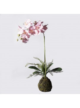 Supergreens Τεχνητό Φυτό Ορχιδέα Phalaenopsis Real Touch Ροζ με Βάση Moss 60 εκ.Χρώμα Ροζ Mήκος 30 Πλάτος 15 Υψος 60 SUPER-0170-6