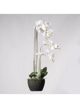 Supergreens Τεχνητό Φυτό Ορχιδέα Phalaenopsis Real Touch Λευκή με Βάση Moss 85 εκ.Χρώμα Λευκό Mήκος 39 Πλάτος 25 Υψος 85 SUPER-3170-6