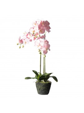 Supergreens Τεχνητό Φυτό Ορχιδέα Phalaenopsis Real Touch Ροζ με Βάση Moss 85 εκ.Χρώμα Ροζ Mήκος 39 Πλάτος 25 Υψος 85 SUPER-4170-6