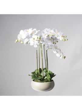 Supergreens Τεχνητό Φυτό Ορχιδέα Phalaenopsis Real Touch Λευκή με Κασπώ 80 εκ.Χρώμα Λευκό Mήκος 58 Πλάτος 45 Υψος 80 SUPER-9170-6