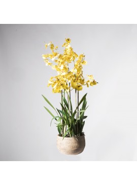 Supergreens Τεχνητό Φυτό Ορχιδέα Oncidium Κίτρινη  με Κασπώ 90 εκ.Χρώμα Κίτρινο Mήκος 51 Πλάτος 51 Υψος 90 SUPER-2270-6