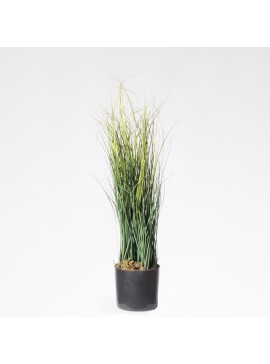 Supergreens Τεχνητό Φυτό Χορτάρι 55 εκ.Χρώμα Πράσινο Mήκος  Πλάτος  Υψος 55 SUPER-7870-6