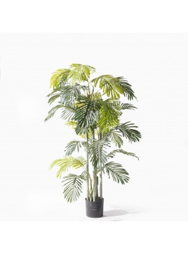 Supergreens Τεχνητό Δέντρο Αρέκα 230 εκ.Χρώμα Πράσινο Mήκος  Πλάτος  Υψος 23 SUPER-3970-6