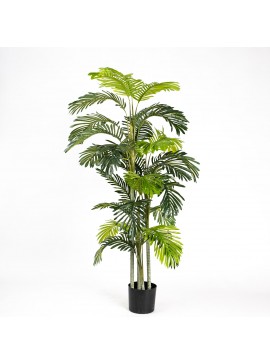 Supergreens Τεχνητό Δέντρο Αρέκα 190 εκ.Χρώμα Πράσινο Mήκος  Πλάτος  Υψος 190 SUPER-4970-6
