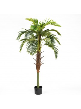 Supergreens Τεχνητό Δέντρο Φοίνικας Coconut 180 εκ.Χρώμα Πράσινο Mήκος  Πλάτος  Υψος 180 SUPER-7970-6