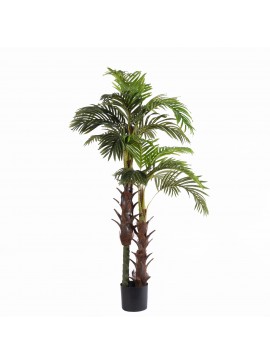 Supergreens Τεχνητό Δέντρο Φοίνικας Coconut 180 εκ.Χρώμα Πράσινο Mήκος  Πλάτος  Υψος 180 SUPER-8970-6