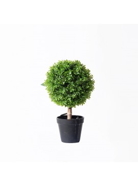 Supergreens Τεχνητό Φυτό Πυξάρι Μπονσάι 35 εκ.Χρώμα Πράσινο Mήκος  Πλάτος  Υψος 35 SUPER-2680-6