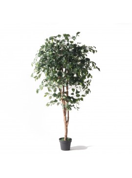 Supergreens Τεχνητό Δέντρο Φίκος Benjamin 165 εκ.Χρώμα Πράσινο Mήκος  Πλάτος  Υψος 165 SUPER-1780-6