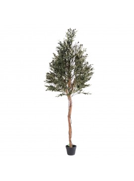 Supergreens Τεχνητό Δέντρο Ελιά 200 εκ.Χρώμα Πράσινο Mήκος  Πλάτος 80 Υψος 200 SUPER-4880-6