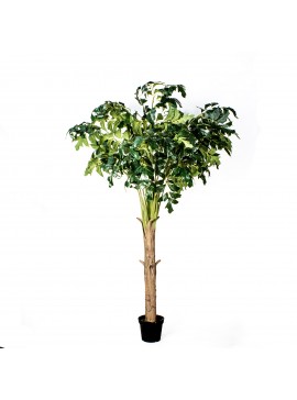 Supergreens Τεχνητό Δέντρο Φίκος "Abstract" 250 εκ.Χρώμα Πράσινο Mήκος  Πλάτος 150 Υψος 250 SUPER-9980-6